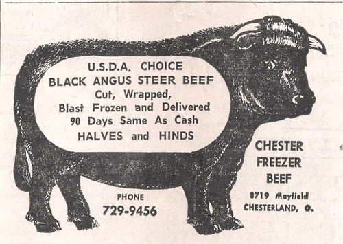 Chester freezer beef black - chester,
